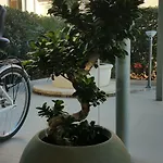 Hotel Little 3*